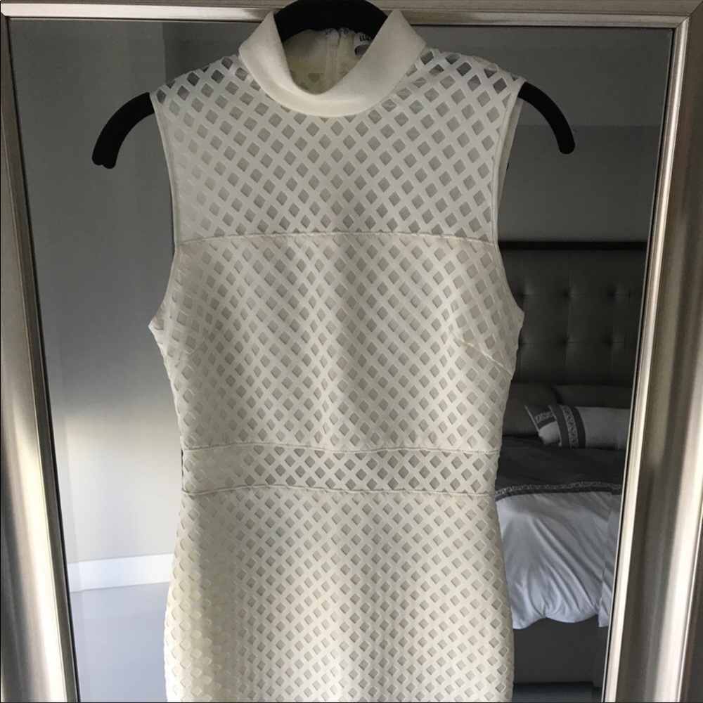 Elizabeth&James mesh bodycon dress in ivory